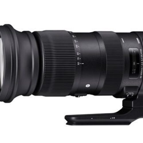 Lente Sigma 60-600mm f/4.5-6.3 DG OS HSM Sport DSLR para Canon EF